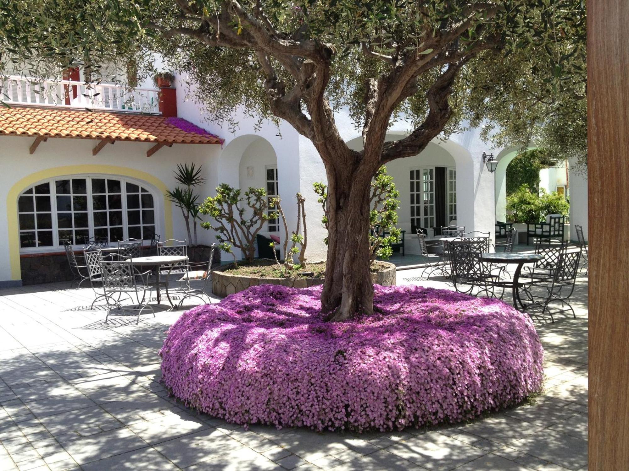思科格力拉酒店 Forio di Ischia 外观 照片